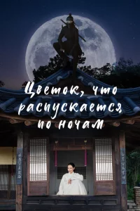 Ночной цветок онлайн